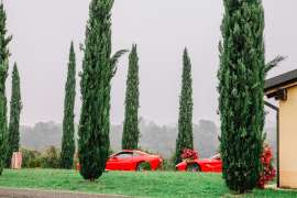 Guida una Ferrari su strada a Maranello